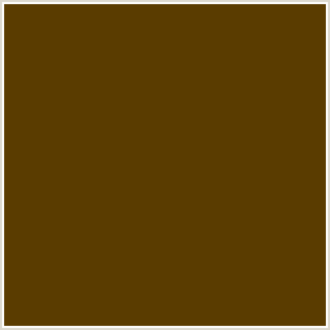 5A3C00 Hex Color Image (SADDLE BROWN, YELLOW ORANGE)