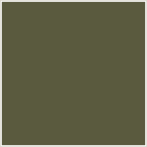 5A5A3E Hex Color Image (HEMLOCK, YELLOW GREEN)