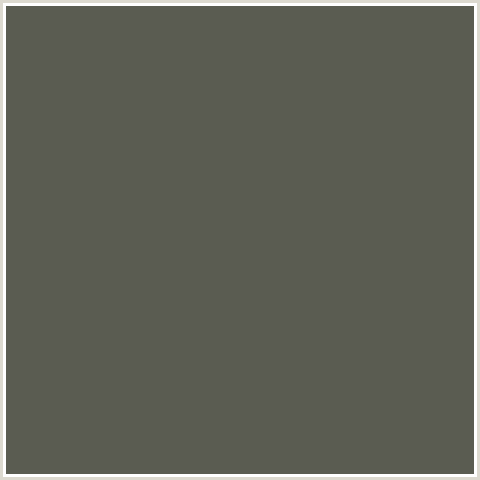 5A5C51 Hex Color Image (FUSCOUS GRAY, GREEN YELLOW)