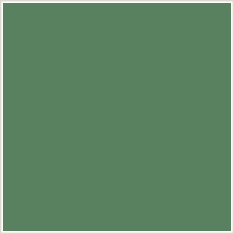 5A815F Hex Color Image (GREEN, SPRING LEAVES)