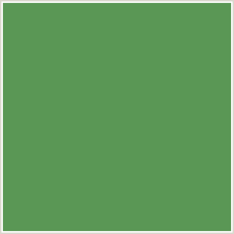 5A9755 Hex Color Image (FRUIT SALAD, GREEN)