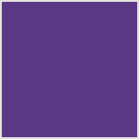 5B3885 Hex Color Image (BLUE VIOLET, GIGAS)