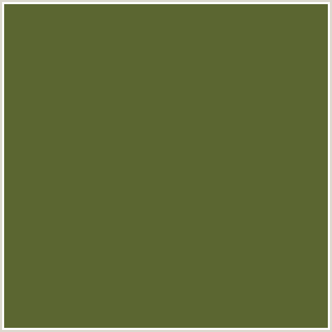 5B6631 Hex Color Image (COSTA DEL SOL, GREEN YELLOW)