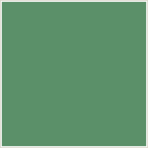 5B9069 Hex Color Image (GREEN, SPRING LEAVES)