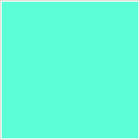 5BFED6 Hex Color Image ()