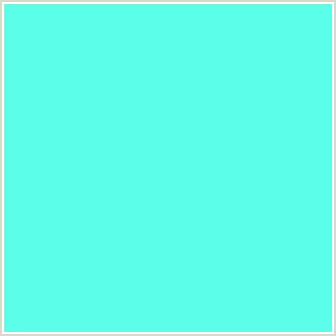 5BFEE8 Hex Color Image ()