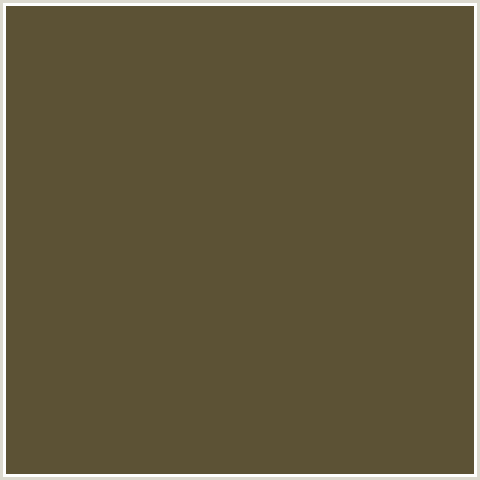 5C5235 Hex Color Image (ORANGE YELLOW, VERDIGRIS)