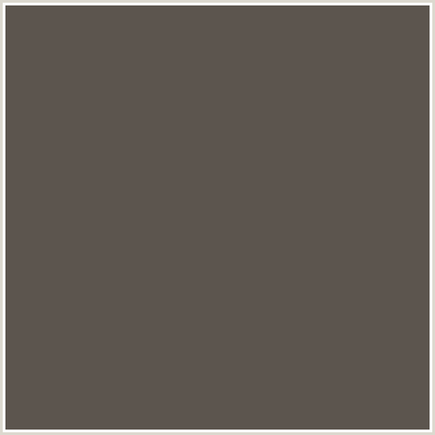 5C554E Hex Color Image (BROWN, FUSCOUS GRAY, ORANGE)