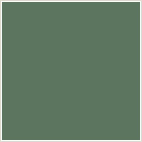 5C755E Hex Color Image (CACTUS, GREEN)