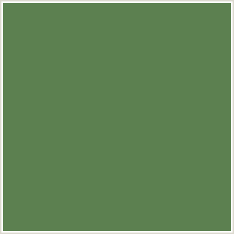 5C8050 Hex Color Image (GREEN, HIPPIE GREEN)