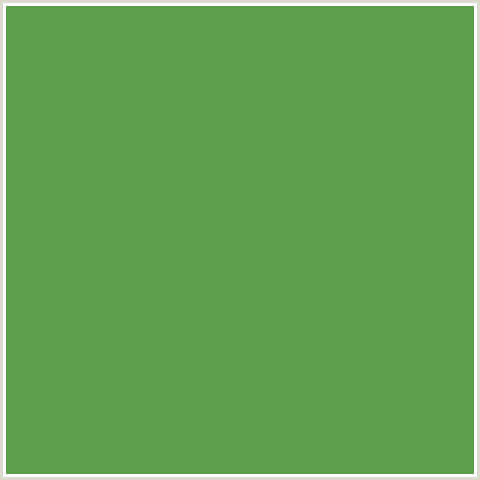 5C9E4C Hex Color Image (FRUIT SALAD, GREEN)