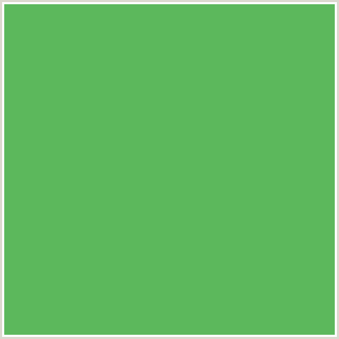 5CB85C Hex Color Image (FERN, GREEN)