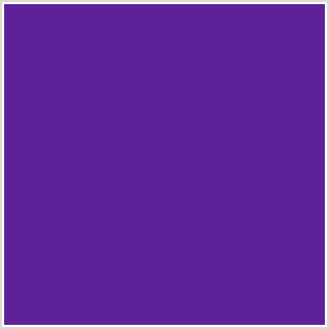 5D2299 Hex Color Image (DAISY BUSH, VIOLET BLUE)