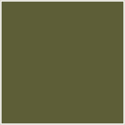 5D5E37 Hex Color Image (VERDIGRIS, YELLOW GREEN)