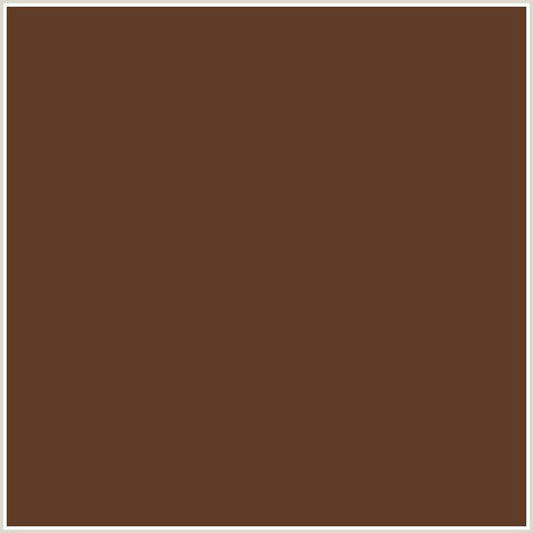 5E3C27 Hex Color Image (IRISH COFFEE, ORANGE RED)