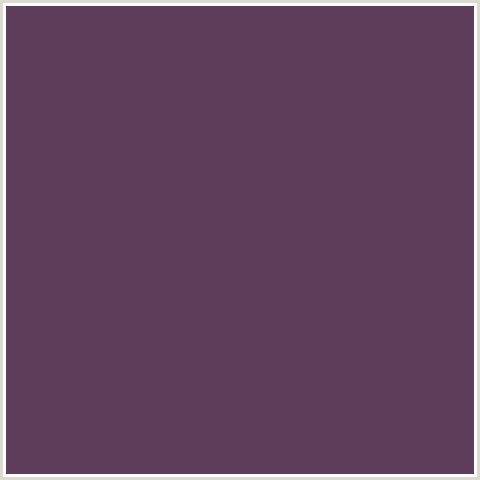 5E3D5A Hex Color Image (DEEP PINK, EGGPLANT, FUCHSIA, FUSCHIA, HOT PINK, MAGENTA)