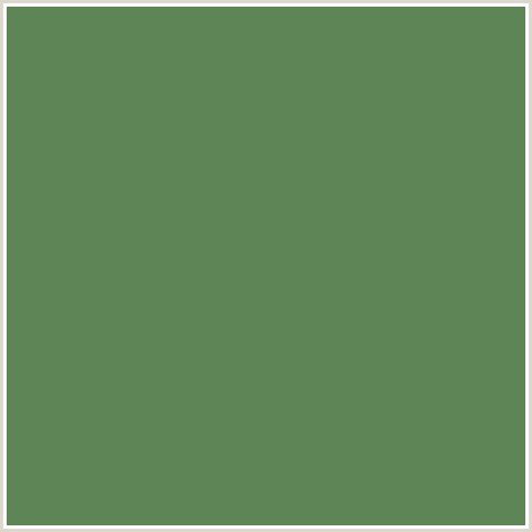 5E8555 Hex Color Image (GREEN, HIPPIE GREEN)