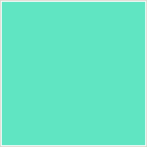 60E5C2 Hex Color Image (BLUE GREEN, TURQUOISE BLUE)