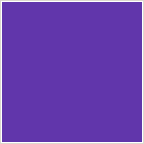 6136AB Hex Color Image (BLUE VIOLET, ROYAL PURPLE)