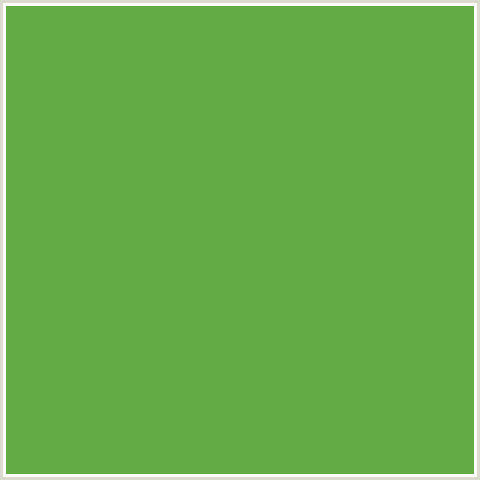 63AC45 Hex Color Image (APPLE, GREEN)