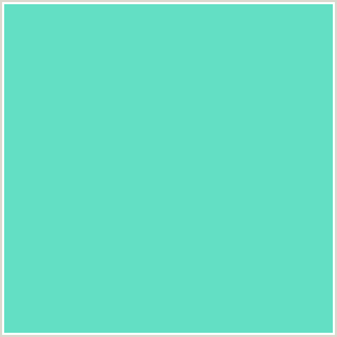 63DFC4 Hex Color Image (BLUE GREEN, VIKING)