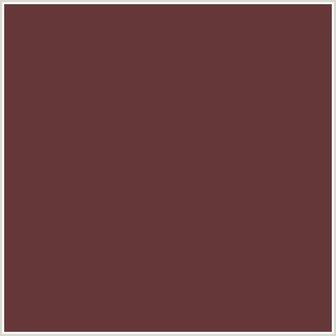 653739 Hex Color Image (BUCCANEER, RED)