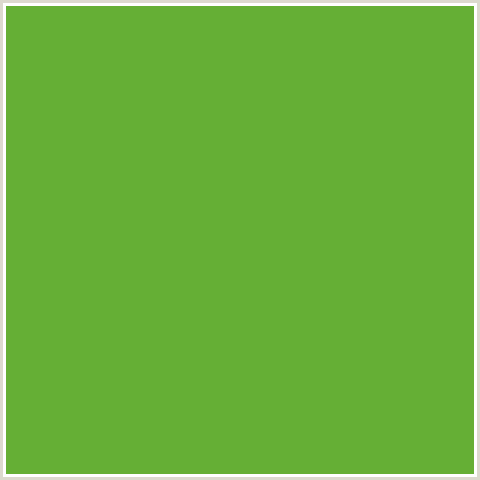 65AF35 Hex Color Image (APPLE, GREEN)