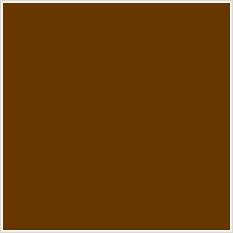 673700 Hex Color Image (BROWN, NUTMEG WOOD FINISH, ORANGE)