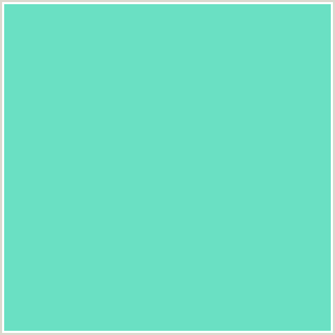 6AE0C3 Hex Color Image (AQUAMARINE BLUE, BLUE GREEN)