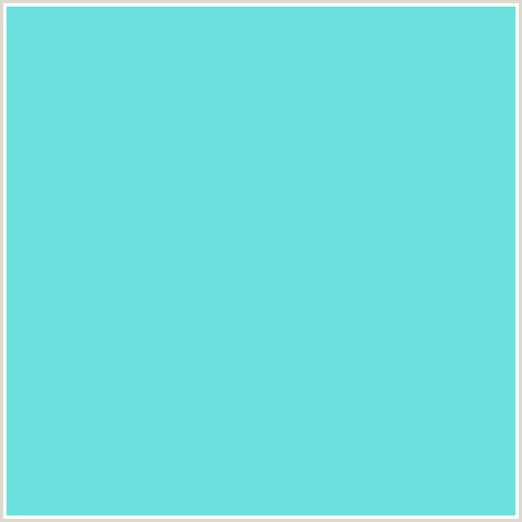 6AE1DC Hex Color Image (AQUA, AQUAMARINE BLUE, LIGHT BLUE, TEAL)