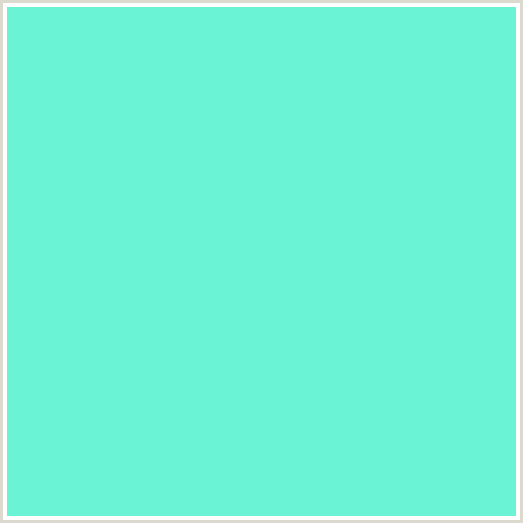 6AF4D5 Hex Color Image (BLUE GREEN, SPRAY)