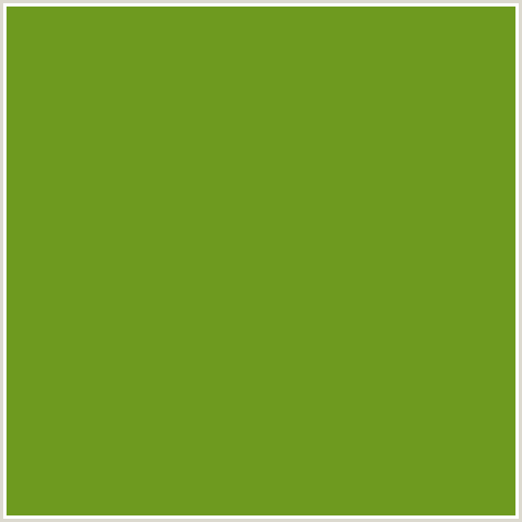 6E9A1F Hex Color Image (GREEN YELLOW, OLIVE DRAB)