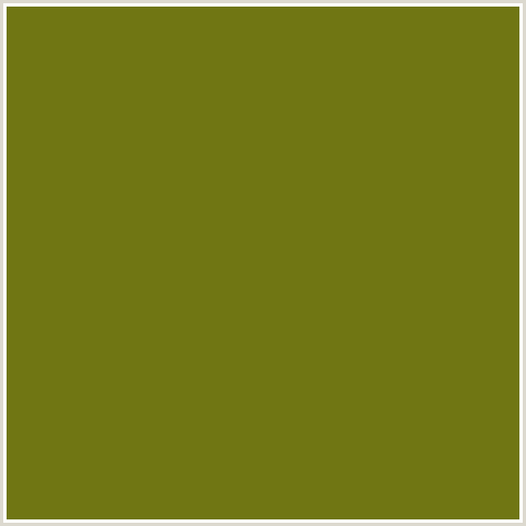 707613 Hex Color Image (OLIVE, OLIVETONE, YELLOW GREEN)