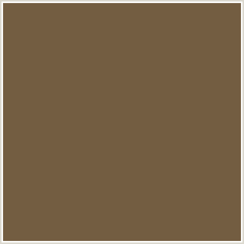 735D41 Hex Color Image (BROWN, ORANGE, TOBACCO BROWN)