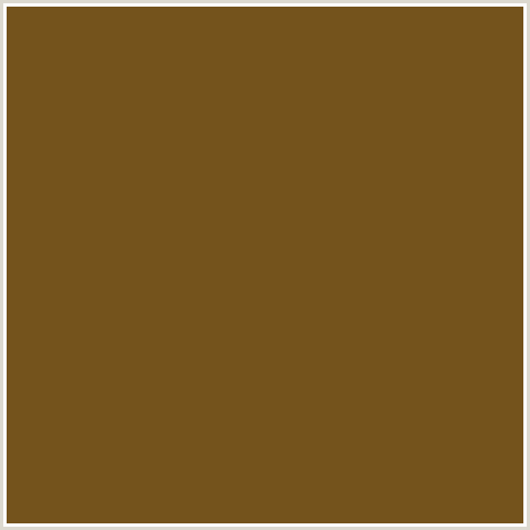 74531C Hex Color Image (BROWN, HIMALAYA, ORANGE)