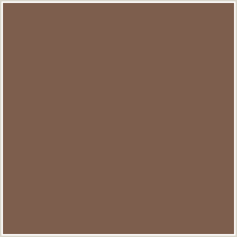 7D5E4D Hex Color Image (ORANGE RED, ROMAN COFFEE)