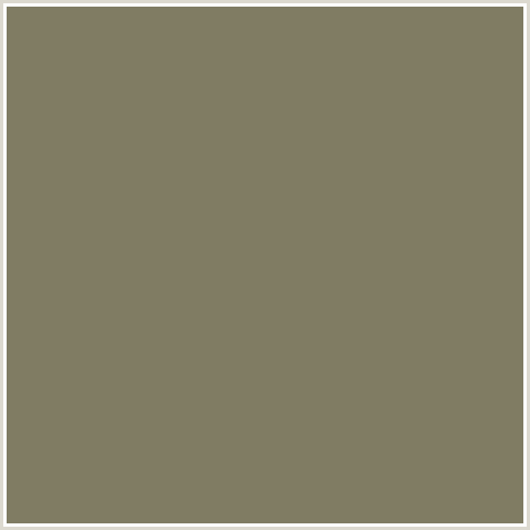 807C63 Hex Color Image (CLAY CREEK, YELLOW)