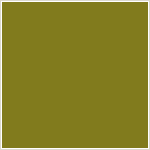 817B1D Hex Color Image (PACIFIKA, YELLOW)