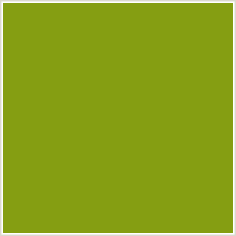 859E12 Hex Color Image (CHRISTI, GREEN YELLOW)