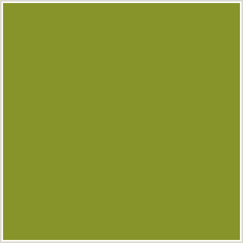 86942A Hex Color Image (OLIVE, WASABI, YELLOW GREEN)