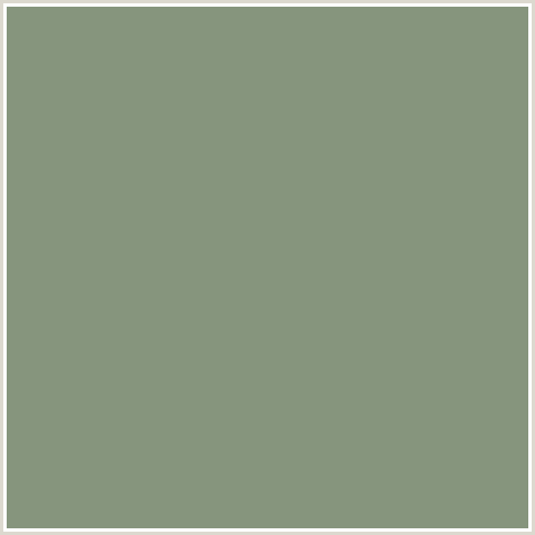 86957D Hex Color Image (BATTLESHIP GRAY, GREEN)