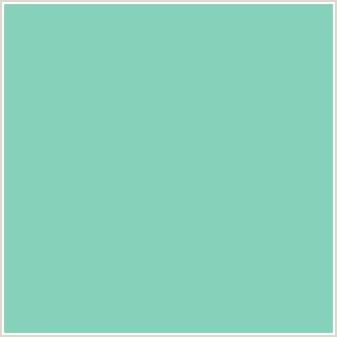 86D1BA Hex Color Image (BLUE GREEN, MONTE CARLO)