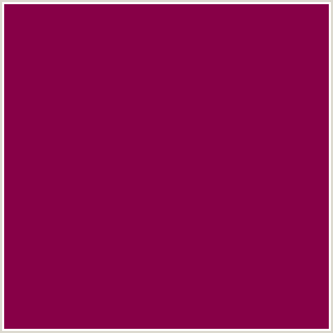 870047 Hex Color Image (DEEP PINK, FUCHSIA, FUSCHIA, HOT PINK, MAGENTA, SIREN)