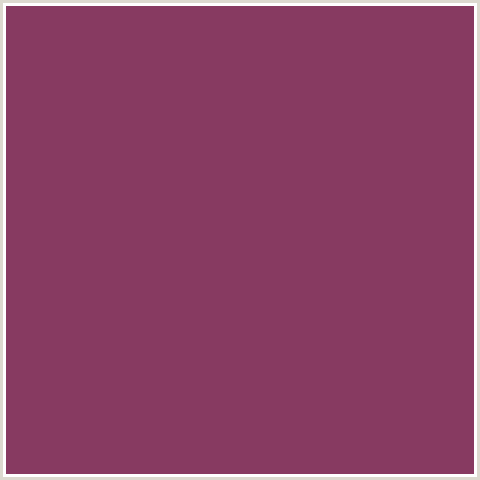 873A61 Hex Color Image (CAMELOT, DEEP PINK, FUCHSIA, FUSCHIA, HOT PINK, MAGENTA)