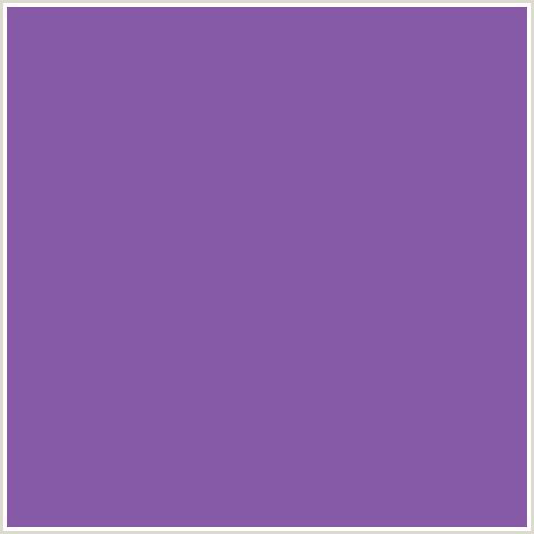 875AA7 Hex Color Image (DELUGE, VIOLET BLUE)