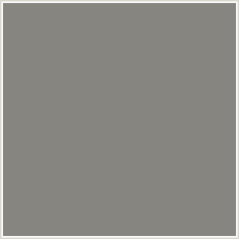 878580 Hex Color Image (NATURAL GRAY, YELLOW ORANGE)