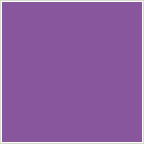 88569D Hex Color Image (PURPLE, TRENDY PINK, VIOLET)