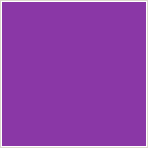 8A37A6 Hex Color Image (PURPLE, VIOLET, VIVID VIOLET)