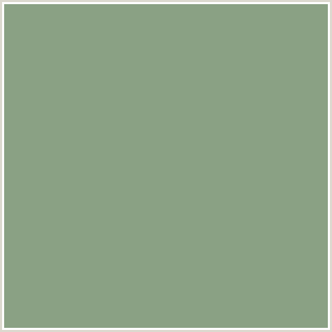 8AA184 Hex Color Image (ENVY, GREEN)