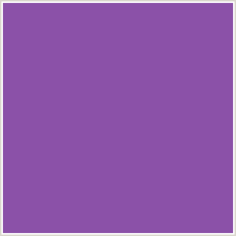 8B51A8 Hex Color Image (PURPLE, STUDIO, VIOLET)